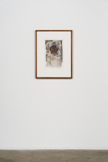 installation view; John Wolseley Great Desert Skinks II, 2026; watercolour on Arches paper with woodcut on Tengucho paper; 47 x 30 cm; 75 x 57 cm (framed); Edition of 20; enquire