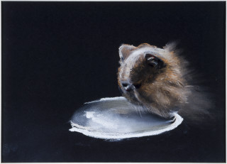 Louise Hearman Untitled #  973, 2002; pastel on paper; 25 x 35 cm; enquire
