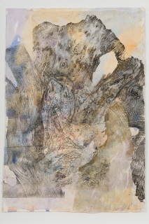 John Wolseley Tawny frogmouth, 2026; watercolour, graphite and woodblock prints on paper; 75 x 54 cm; 93 x 68 cm (framed); enquire