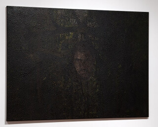 Daniel Boyd Untitled, 2011; oil and archival glue on canvas; 122.5 x 168 cm; enquire