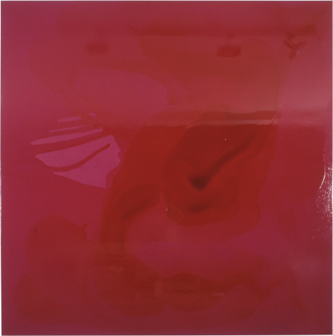 Dale Frank Sean Landers, 2001; from the series Cat #11; acrylic and varnish on canvas; 200 x 200 cm; enquire