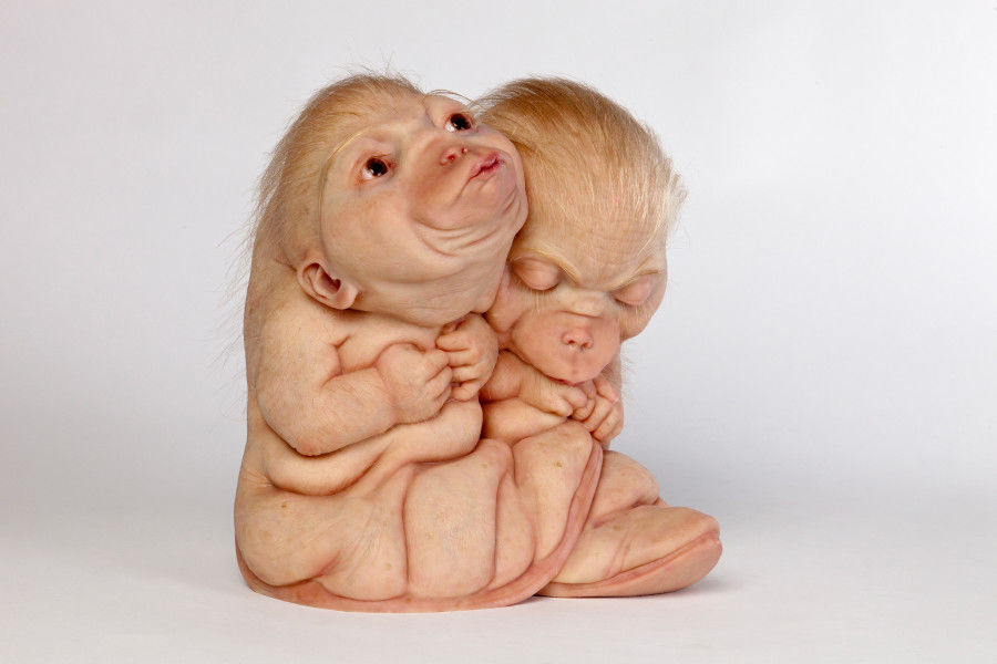 Patricia Piccinini The Loafers, 2018; silicone, resin and hair; 26 x 25.8 x 25 cm; Edition of 6 + 2 AP; more info; enquire