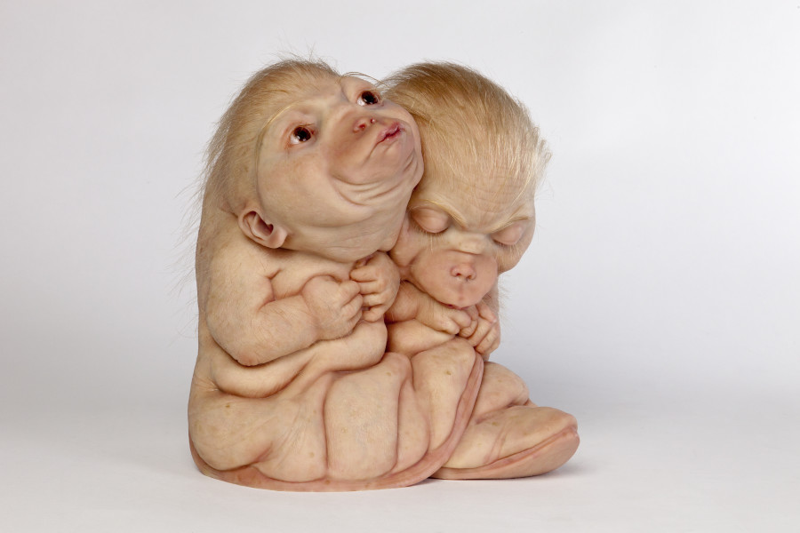 Patricia Piccinini The Loafers, 2018; silicone, resin and hair; 26 x 25.8 x 25 cm; Edition of 6 + 2 AP; enquire