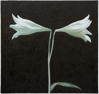 Glenn Sorensen Star Eyed, 2012; oil on linen; 38 x 40 cm; enquire