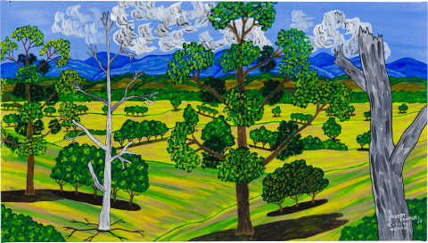 Robert Campbell Jnr Untitled 15.1.1991, 1991; acrylic on canvas; 54 x 94 cm; more info; enquire