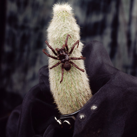 Paul Ferman Untitled (1N19), 1996; colour photograph; 127 x 102 cm; enquire