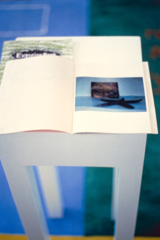 Gail Hastings and Elizabeth Newman Some examples of different ways, 1991; mixed media, hand produced books; dimensions variable; enquire