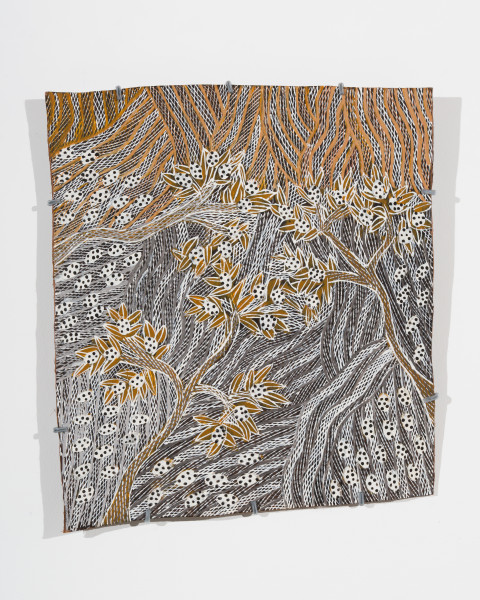 Yalmakany Marawili Burukpili, 2025; 3099-25; earth pigments on stringybark; 54.5 x 47.5 cm; enquire