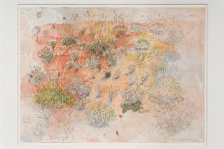 John Wolseley Spinifex plains – Watikinpirri, 2025; watercolour and graphite on paper; 56 x 76 cm; 77 x 96 cm (framed); enquire