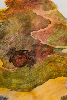 John Wolseley Great desert skinks on their basking mound in the Great
Sandy desert II (detail), 2026; watercolour and woodblock print on paper; 98 x 187 cm; 113 x 202 cm (framed); enquire