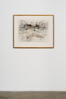 installation view; John Wolseley Palimpsest of desert tracks – Burrowing betong, Hare wallaby, Brush-tailed mulgara, Bilby and Great desert skink, 2024-25; watercolour, charcoal and graphite on paper; 56 x 76 cm; 83 x 102 cm (framed); enquire