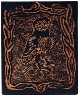 David Noonan Owl, 2003; bleach on fabric; 30.5 x 25.5 cm; enquire