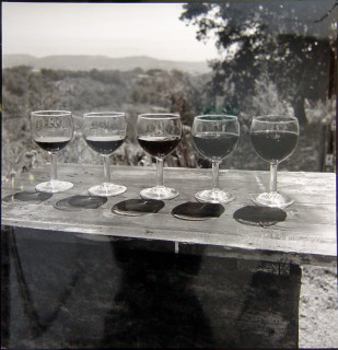 Bill Culbert Wine Real, France, 1996; silver gelatin prints; 40.5 x 40.5 cm; Edition of 25; enquire