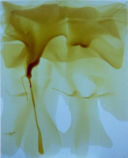 Dale Frank Toby Maguire, 2000; acrylic & varnish on canvas; 240 x 200 cm; enquire