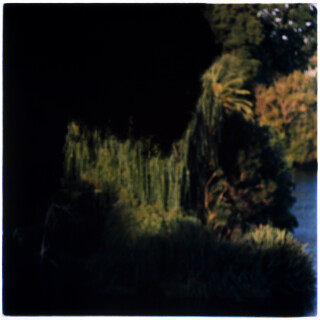Bill Henson Untitled 6/45, 1990-91; from the series Paris Opera Project; type C photograph; 127 x 127 cm; series of 50; Edition of 10 + AP 2; enquire