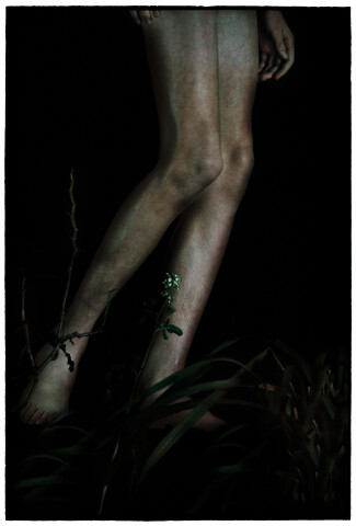 Bill Henson Untitled #14, 2011-12; LS SH141 N18 ; archival inkjet pigment print; 180 x 127 cm; Edition of 5 + AP 2; Enquire