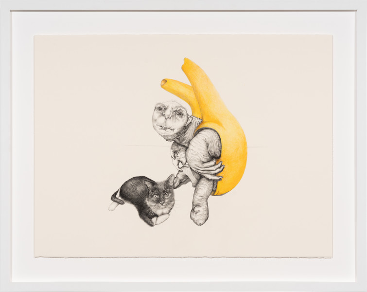 Patricia Piccinini The Moment When They Respond With Intention, 2023; graphite and coloured pencil on paper; 56 x 76 cm; enquire