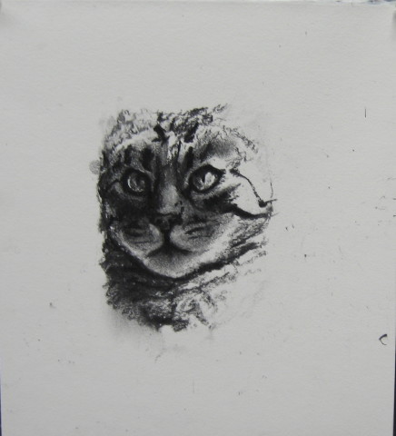 Louise Hearman Untitled #1068, 2004; charcoal on mount board; 28 x 25 cm; enquire