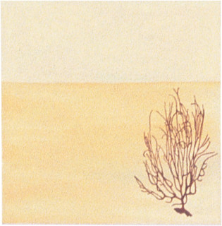 Fiona Foley Black Coral, 1998; oil on canvas; 38.5 x 38.5 cm; enquire