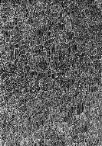 Nyapanyapa Yunupiŋu 37. Birrka'mirri 8, 2011; 4303Q; paint pen on clear acetate plastic; 83.5 x 59.5 cm; enquire