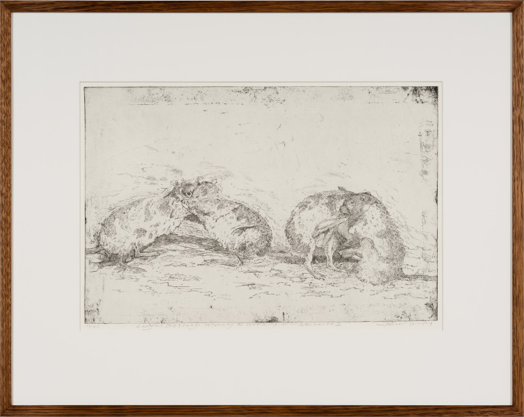 John Wolseley Lustful Bettongs Returning to Watikinpirri - Newhaven II, 2024; etching; 42 x 60 cm; 70 x 88 cm (framed); Edition of 40; enquire