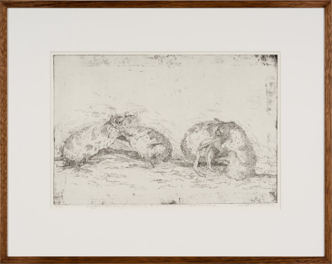 John Wolseley Lustful Bettongs Returning to Watikinpirri - Newhaven II, 2024; etching; 42 x 60 cm; 70 x 88 cm (framed); Edition of 40; enquire