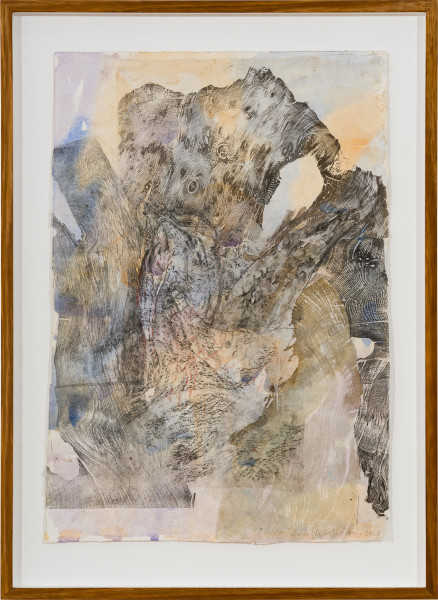 John Wolseley Tawny frogmouth, 2026; watercolour, graphite and woodblock prints on paper; 75 x 54 cm; 93 x 68 cm (framed); enquire