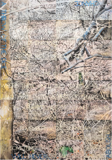 Imants Tillers Critical Forests 7, 2022; synthetic polymer paint, gouache on 32 canvasboards; 201 x 141 cm; enquire