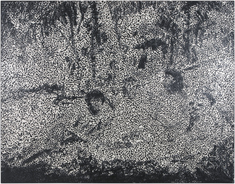 Daniel Boyd Untitled (COTI), 2015; oil and archival glue on linen; 168 x 214 cm; enquire