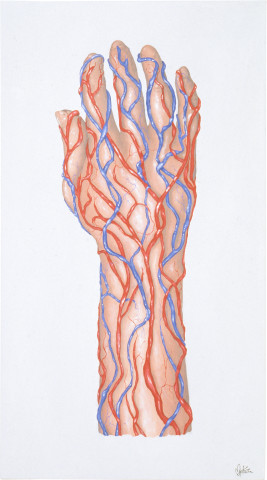Maria Kozic Pulse (Hand), 1991; synthetic polymer paint on cotton duck; 138 x 76 cm; enquire