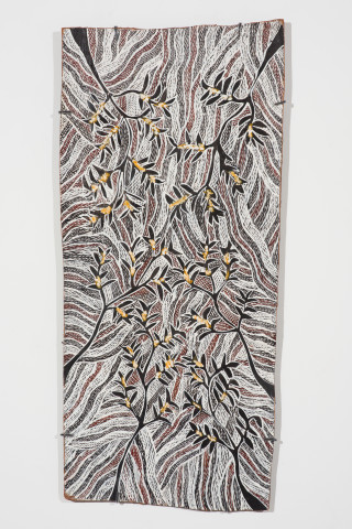 Yalmakany Marawili Ṉämbarra, 2024; 1832-24; earth pigments on Stringybark; 97 x 45 cm; more info; enquire