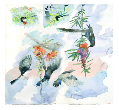 John Wolseley Insectivores and Nectarists with Bottle-brush No. 1, 2009; watercolour on paper ; 86 x 92 cm; enquire