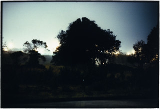 Bill Henson Untitled #40, 1998-00; CL SH 367 N10 ; Type C photograph; 127 x 180 cm; Edition of 5 + AP 2; Enquire
