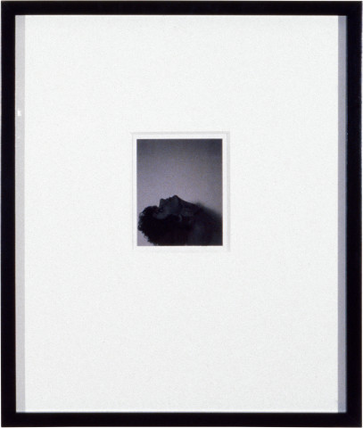 Robert Mapplethorpe Untitled, 1973; 13 x 10.5 cm; enquire