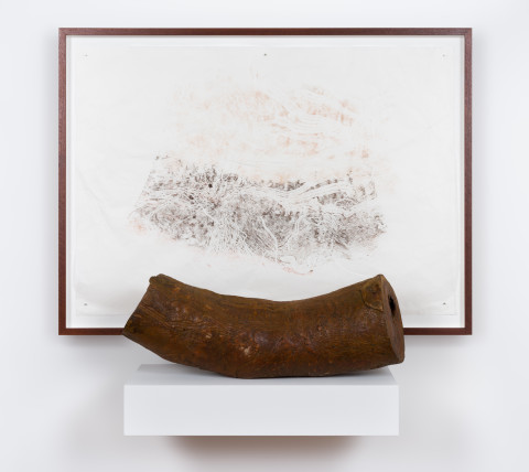 John Wolseley Black wattle, 2018; unique relief print with beetle engraved log; log: 50 x 30 x 30cm; print: 89 x 65cm; Enquire