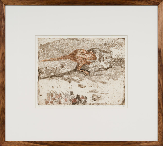 John Wolseley Burrowing Bettongs return to Watikinpirri
- Newhaven, 2024; etching; 27 x 34 cm; 56 x 62 cm (framed); Edition of 30; enquire