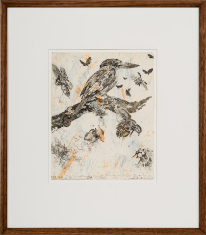 John Wolseley Forest Kingfisher with Symbiotic Moths and Beetles, 2025; etching; 35 x 28 cm; 65 x 57 cm (framed); Edition of 20; enquire