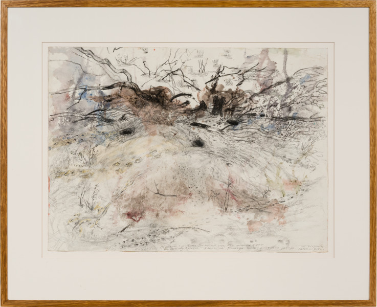 John Wolseley Palimpsest of desert tracks – Burrowing betong, Hare wallaby, Brush-tailed mulgara, Bilby and Great desert skink, 2024-25; watercolour, charcoal and graphite on paper; 56 x 76 cm; 83 x 102 cm (framed); enquire