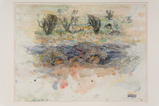 John Wolseley Burrowing Bettongs by their Burrows - Newhaven, NT, 2024; watercolour and graphite on paper; 56 x 76 cm; 83 x 100 cm (framed); enquire