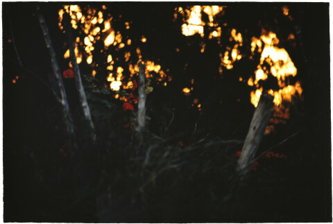 Bill Henson Untitled #29, 2005-06; CL SH531 N2; type C photograph; 127 x 180 cm; Edition of 5 + AP 2; Enquire