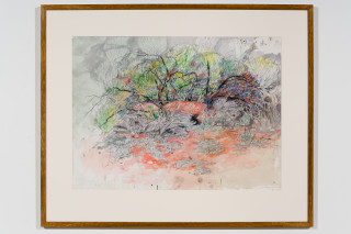 John Wolseley Ngurra - Dwelling; Great Desert Skink - Watikinpirri, 2024; watercolour and graphite on paper; 55 x 74 cm; 80 x 98 cm (framed); enquire