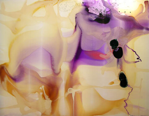 Dale Frank Gardener's Bay Nicholl's Rivulet Talune Wildlife Park and Koala Gardens, 2005; varnish on acrylic on canvas; 200 x 260 cm; enquire