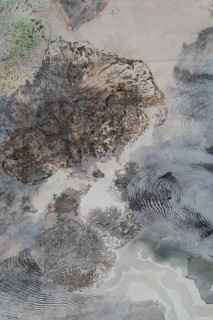 John Wolseley Mimesis - Leaf-tailed geckos on bark, moss and lichen I (detail), 2025; watercolour, graphite, charcoal, frottage and nature prints on paper; 80 x 200 cm; 97 x 221 cm (framed); enquire