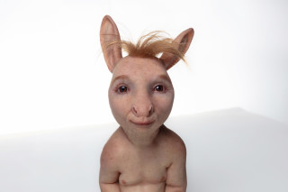 Patricia Piccinini The Pacifist, 2023; silicone, resin, towelling, hair; 35 x 19 x 25 cm; Edition of 6 + 2 AP; enquire