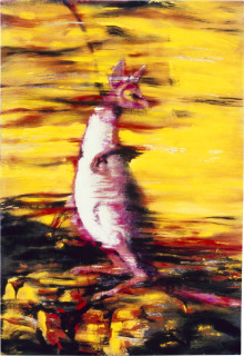 Ian North Five Seasons in Magenta Konogouro II, 1992; acrylic, black and white photographs; 172.5 x 118.5 cm; enquire