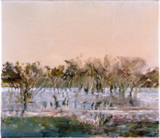Mandy Martin Home Paddock Before Sunrise, 1997; oil, ochre, pigment on linen; 35 x 30 cm; enquire