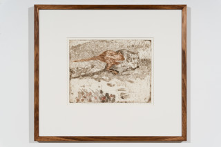 John Wolseley Burrowing Bettongs return to Watikinpirri
- Newhaven, 2024; etching; 27 x 34 cm; 56 x 62 cm (framed); Edition of 30; enquire
