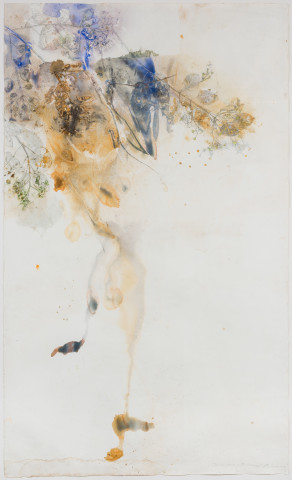 John Wolseley Clerodendrum in the monsoon rain, 2016; watercolour and graphite on paper; 230 x 140 cm; Enquire