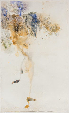 John Wolseley Clerodendrum in the monsoon rain, 2016; watercolour and graphite on paper; 156.5 x 249 cm; enquire