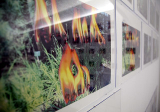 A Constructed World Le Feu Scrupuleux, 2008; enquire